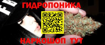 СК Кунгур